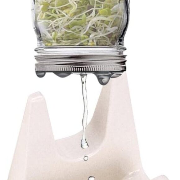 Sprouting Jar Stand - 3 Pcs Sprouting Stands With Water Tray For Any Mason Jars - Picture 3 of 6